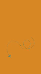 Fly25-2