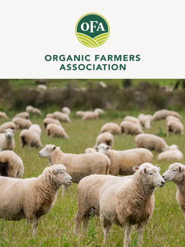 Best Management Practices for Controlling Flies in Livestock