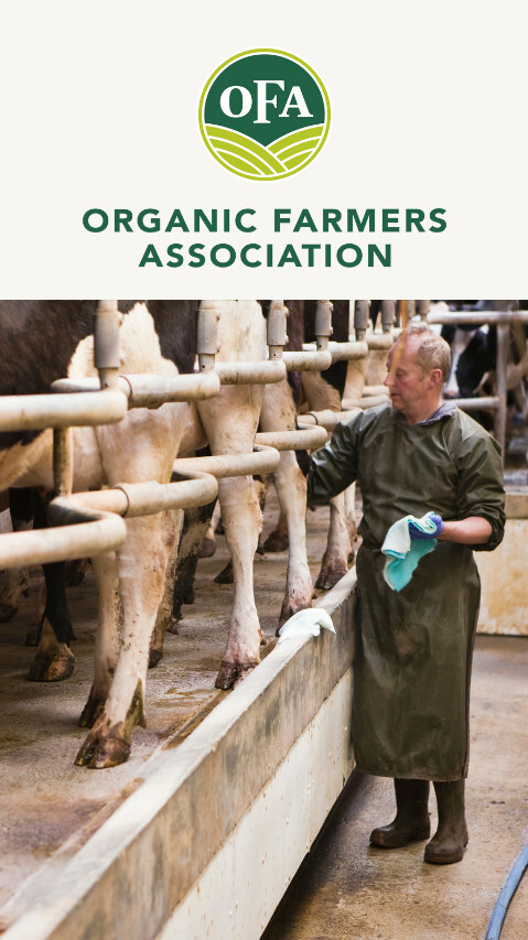Cover3