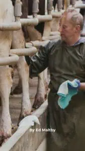 Mammals1